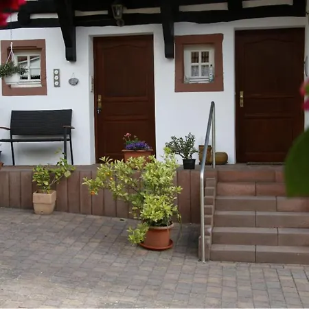 Apartment Alte Huette *